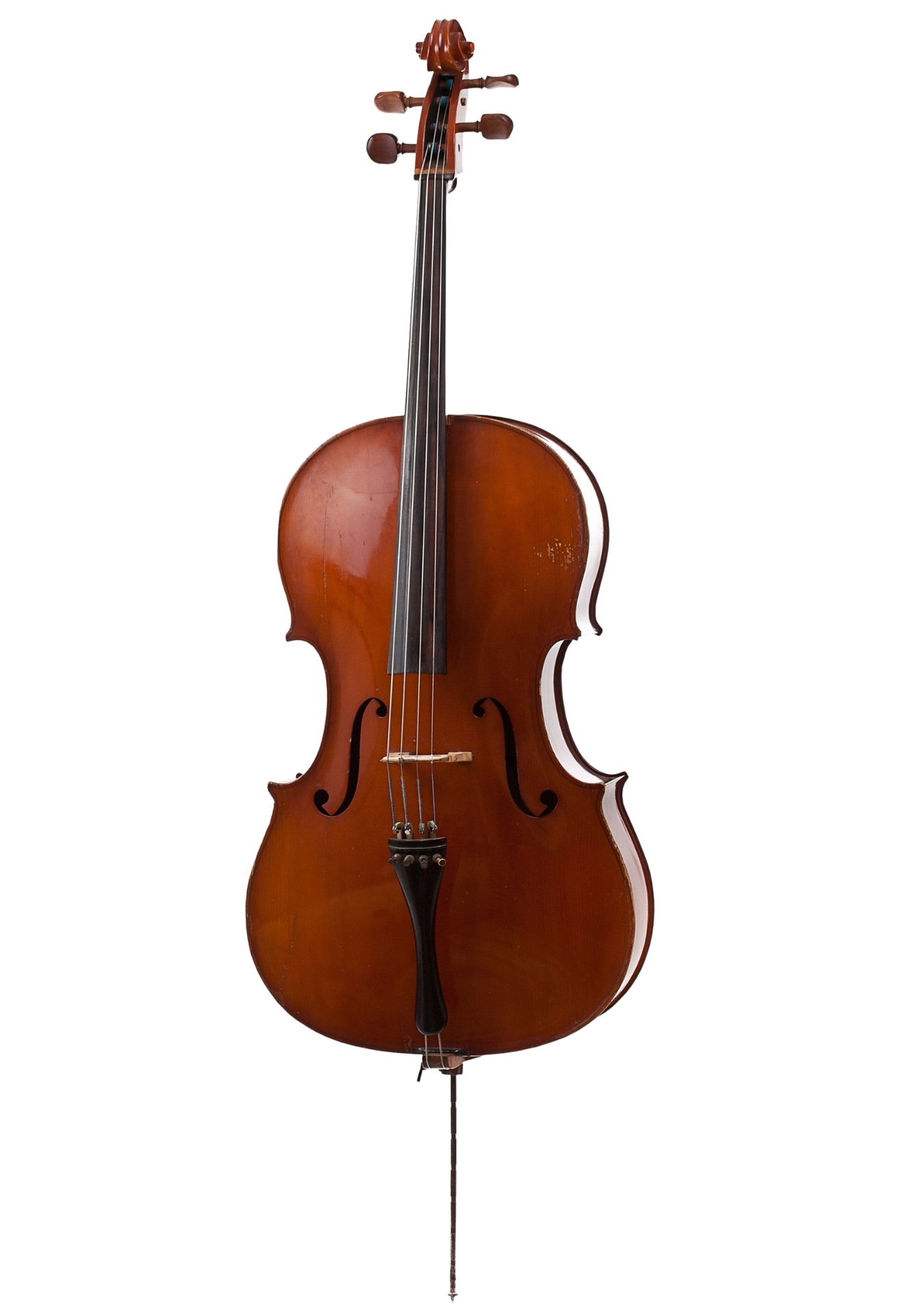 Biolontxeloa / kamara