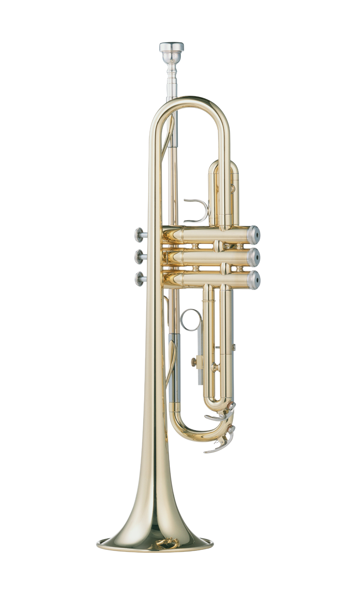 Tronpeta / bonbardino / banda